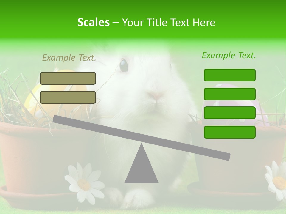 Hopping Grass Daisies PowerPoint Template