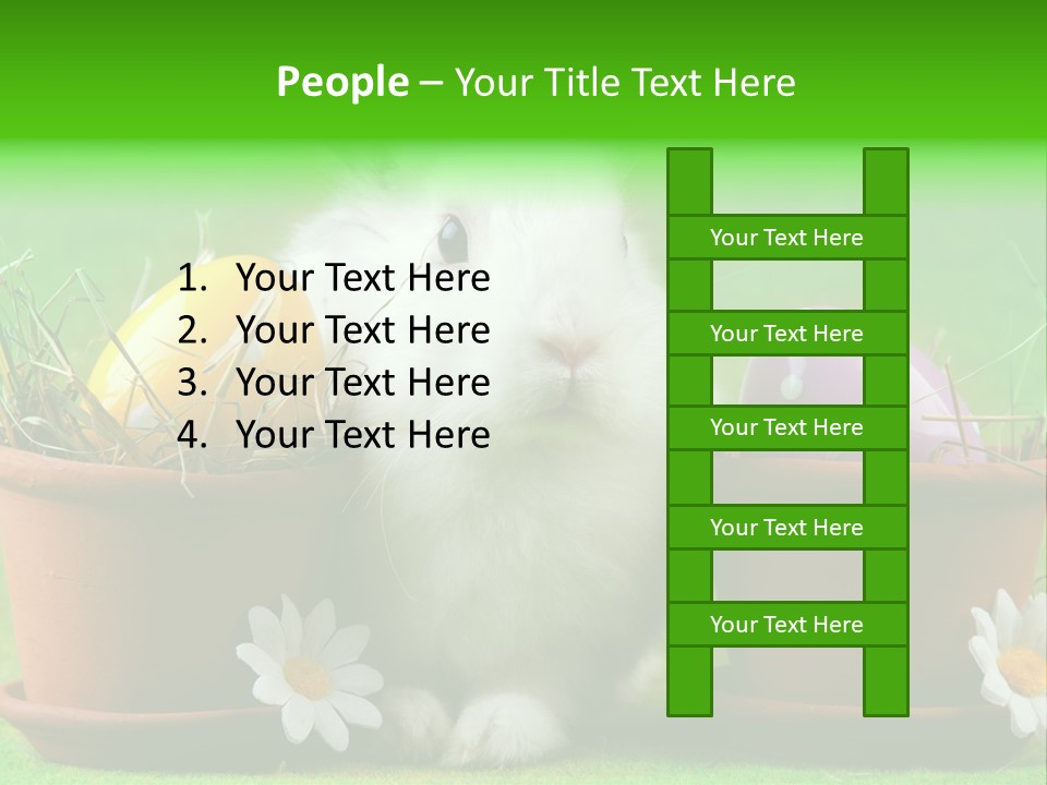 Hopping Grass Daisies PowerPoint Template