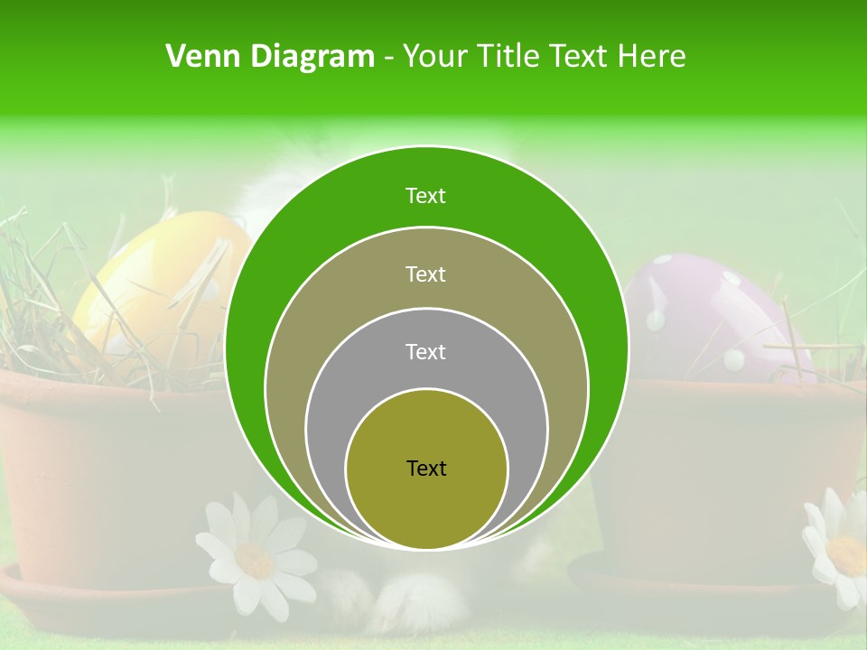 Hopping Grass Daisies PowerPoint Template