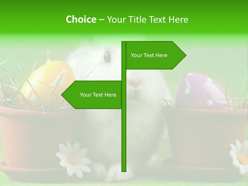 Hopping Grass Daisies PowerPoint Template