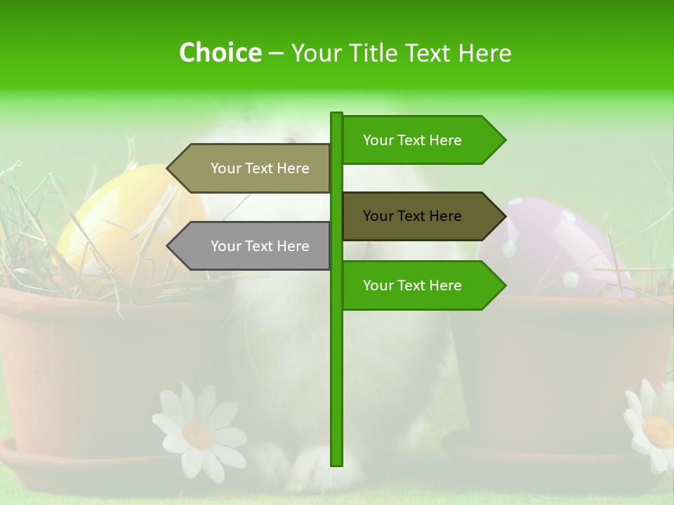 Hopping Grass Daisies PowerPoint Template