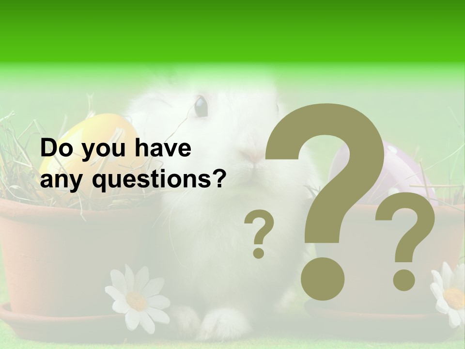 Hopping Grass Daisies PowerPoint Template