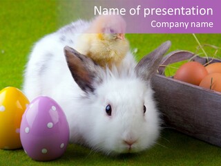 Concept Grass Easter PowerPoint Template