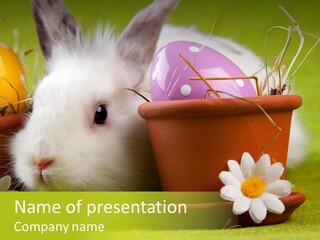 Cute Little Easter PowerPoint Template