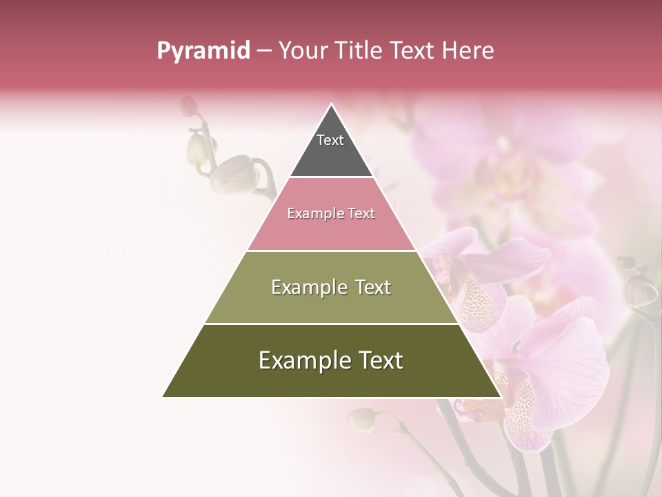 Blur Blink Petal PowerPoint Template