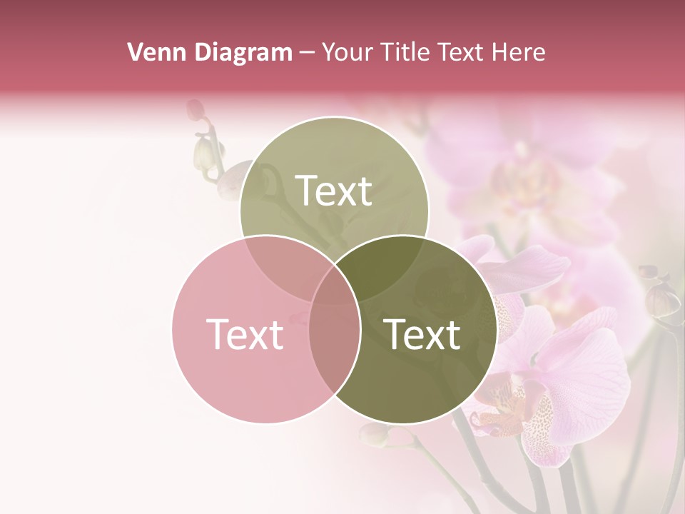 Blur Blink Petal PowerPoint Template