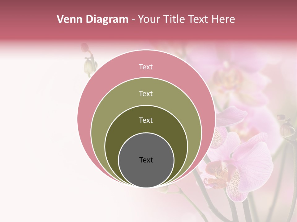 Blur Blink Petal PowerPoint Template
