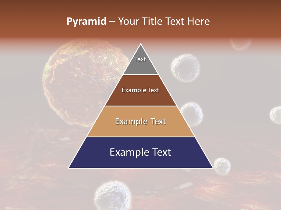 Illustration Gland Anatomy PowerPoint Template
