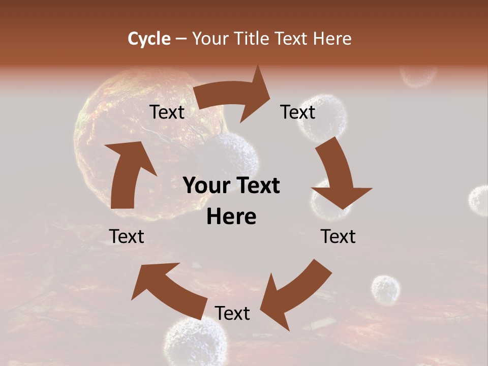 Illustration Gland Anatomy PowerPoint Template