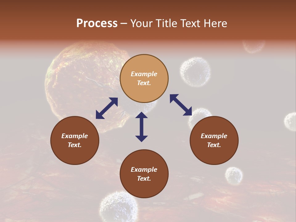Illustration Gland Anatomy PowerPoint Template