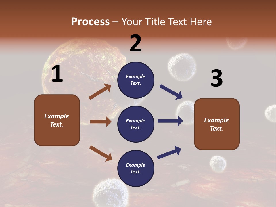 Illustration Gland Anatomy PowerPoint Template
