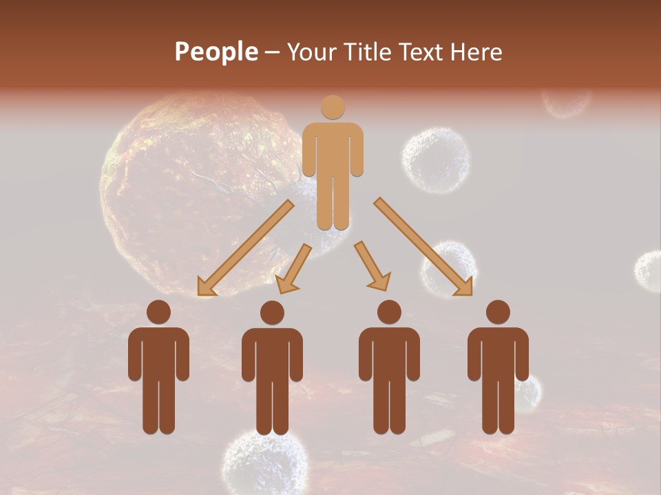 Illustration Gland Anatomy PowerPoint Template