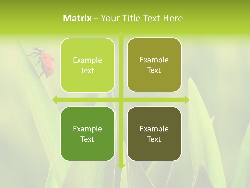 Garden Fresh Lawn PowerPoint Template