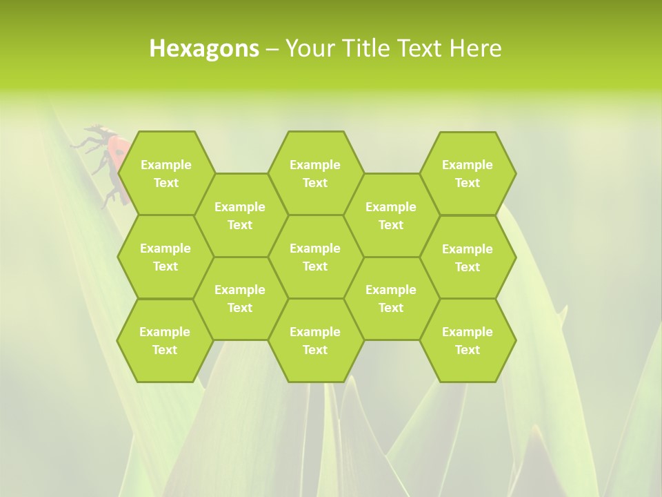 Garden Fresh Lawn PowerPoint Template