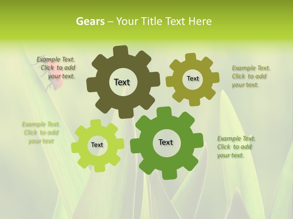 Garden Fresh Lawn PowerPoint Template