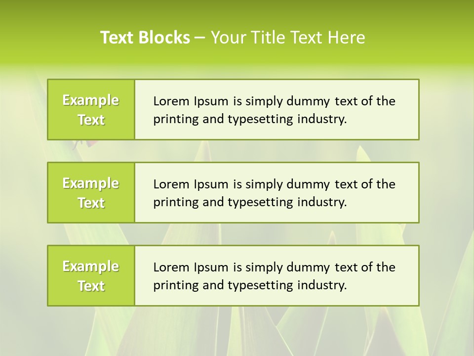 Garden Fresh Lawn PowerPoint Template