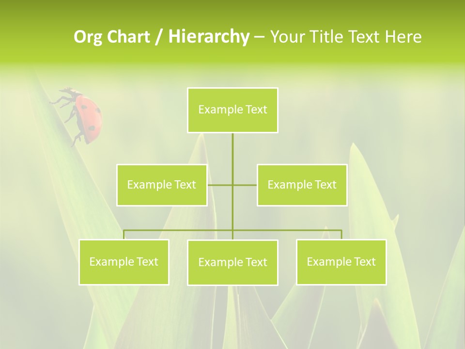 Garden Fresh Lawn PowerPoint Template