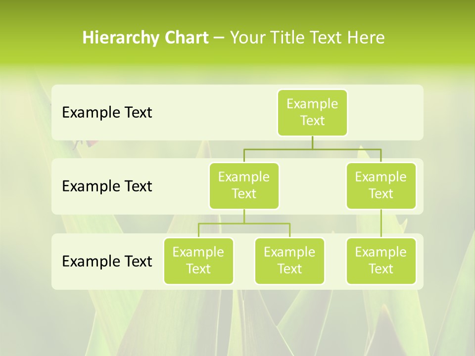 Garden Fresh Lawn PowerPoint Template