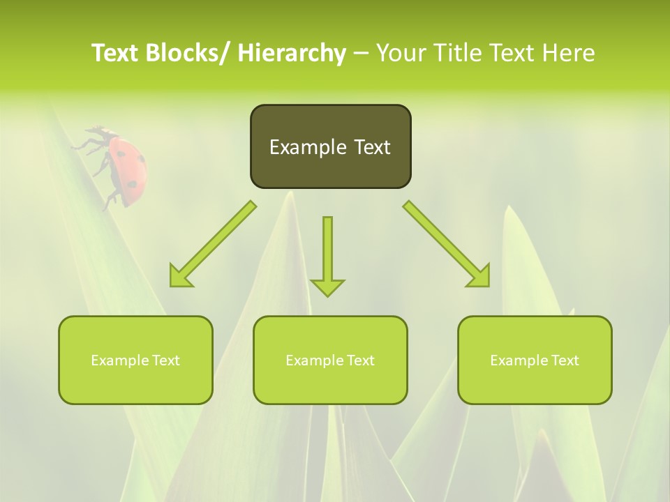 Garden Fresh Lawn PowerPoint Template