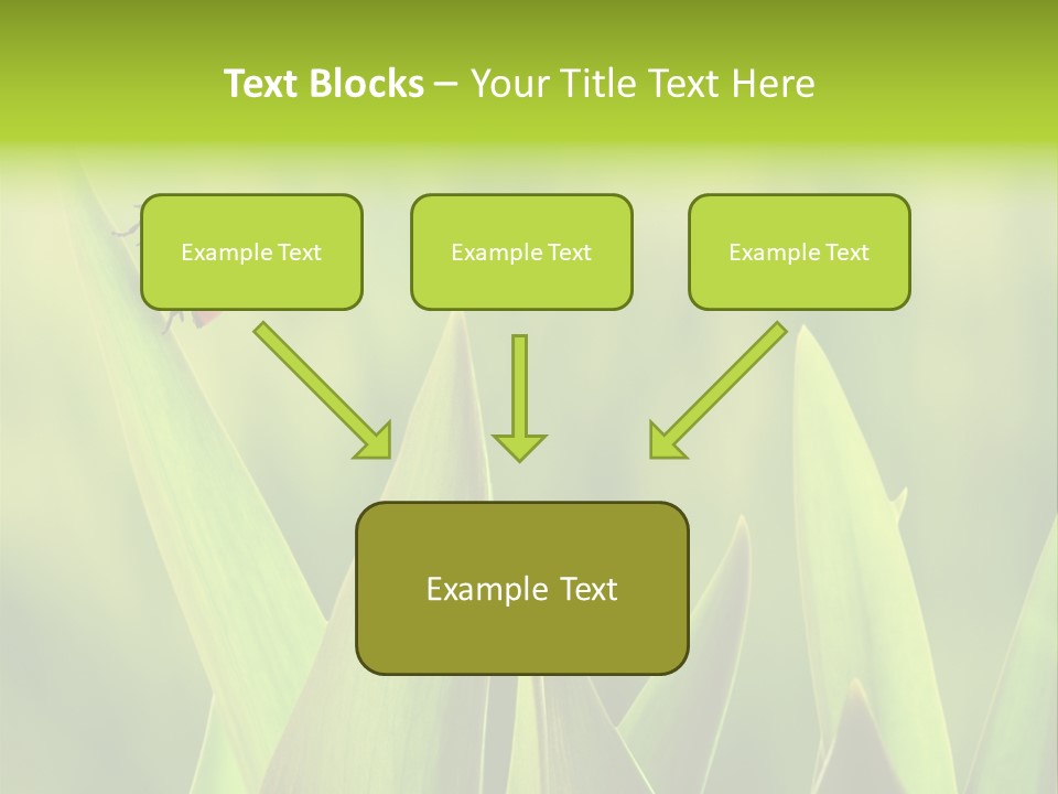 Garden Fresh Lawn PowerPoint Template