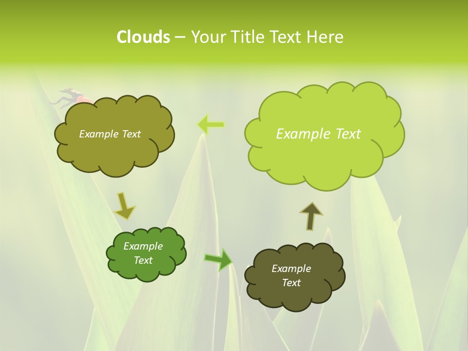 Garden Fresh Lawn PowerPoint Template
