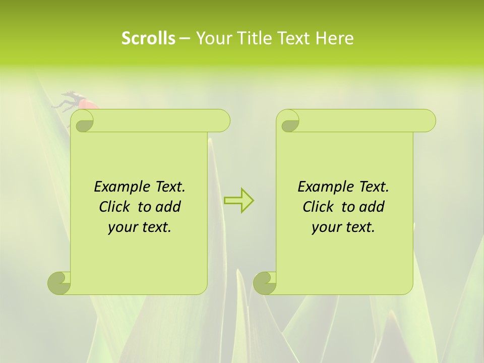 Garden Fresh Lawn PowerPoint Template