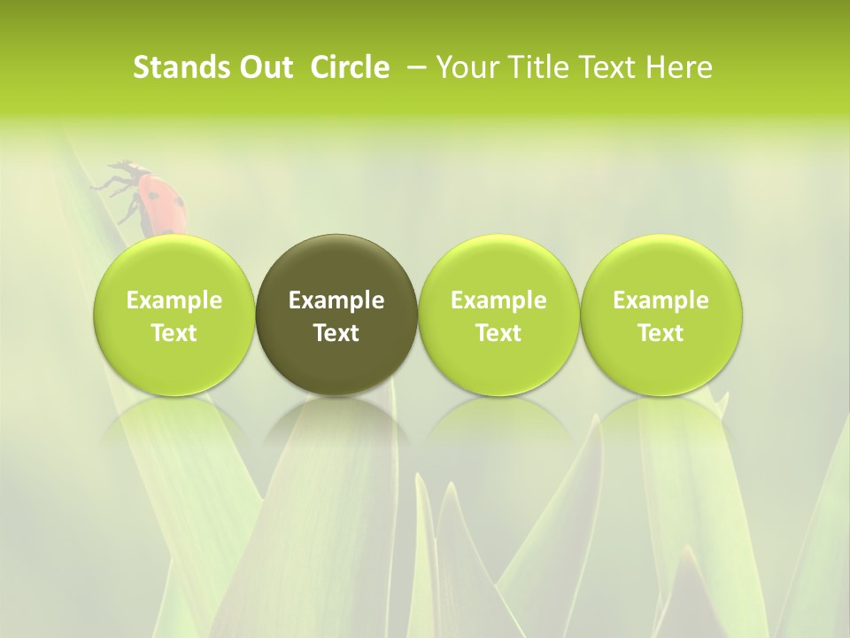 Garden Fresh Lawn PowerPoint Template