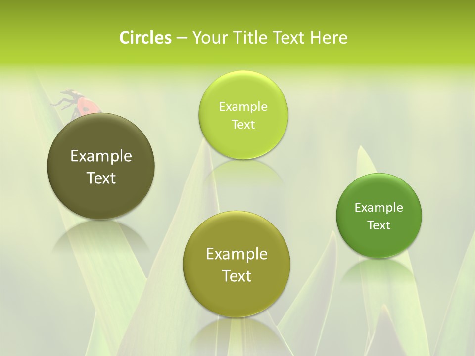 Garden Fresh Lawn PowerPoint Template