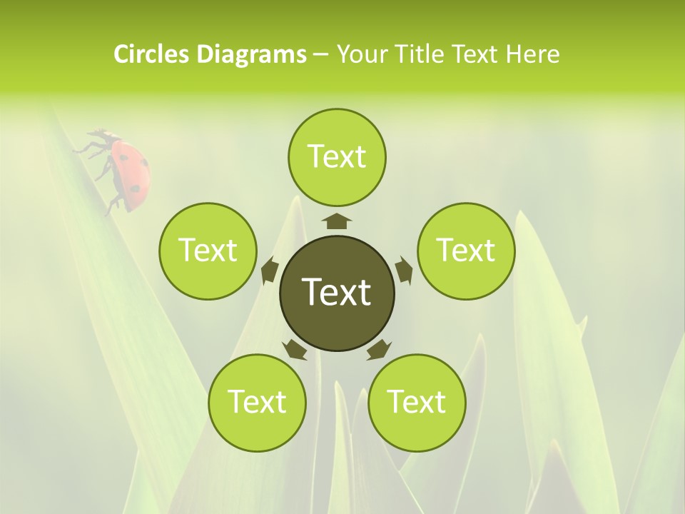 Garden Fresh Lawn PowerPoint Template