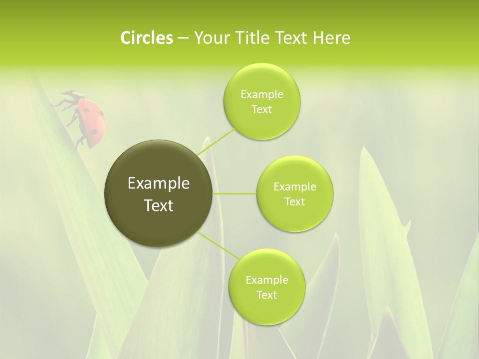 Garden Fresh Lawn PowerPoint Template