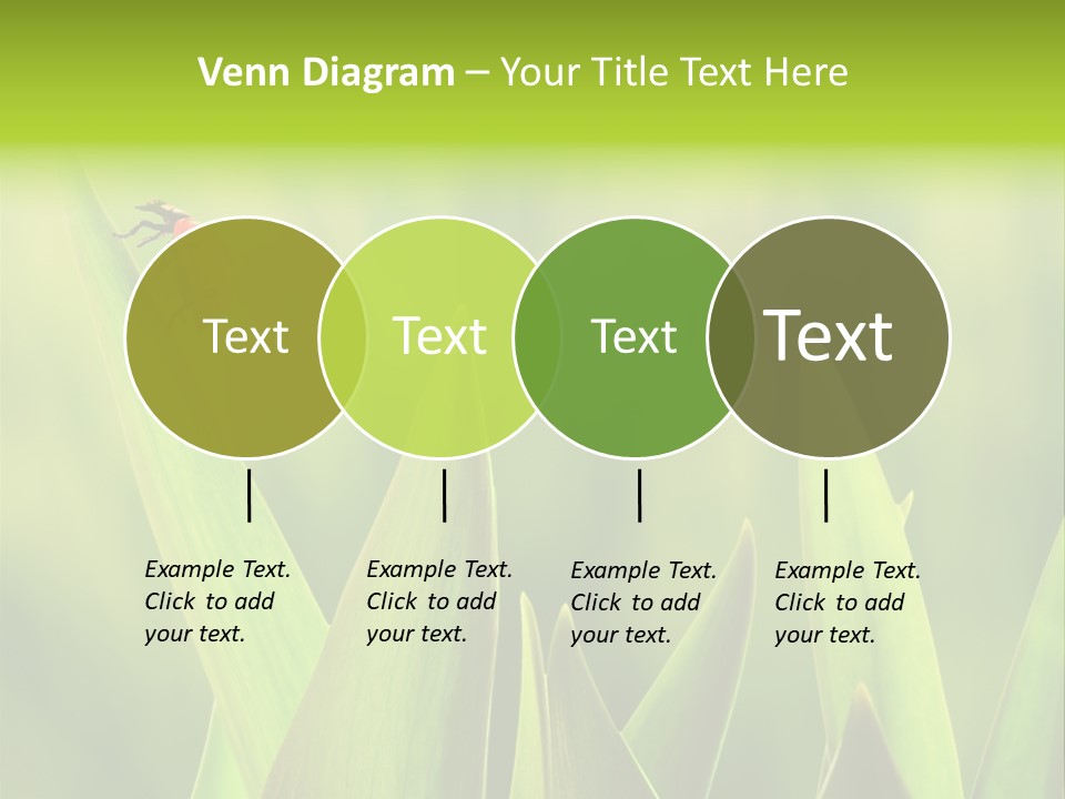 Garden Fresh Lawn PowerPoint Template