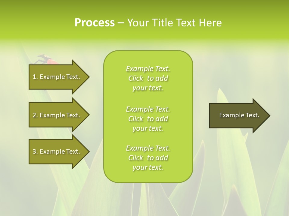 Garden Fresh Lawn PowerPoint Template