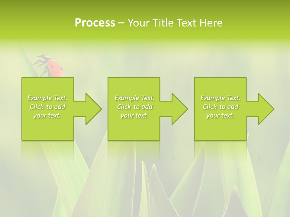 Garden Fresh Lawn PowerPoint Template