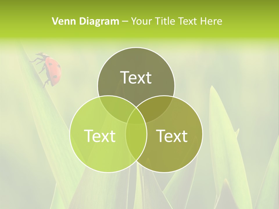 Garden Fresh Lawn PowerPoint Template