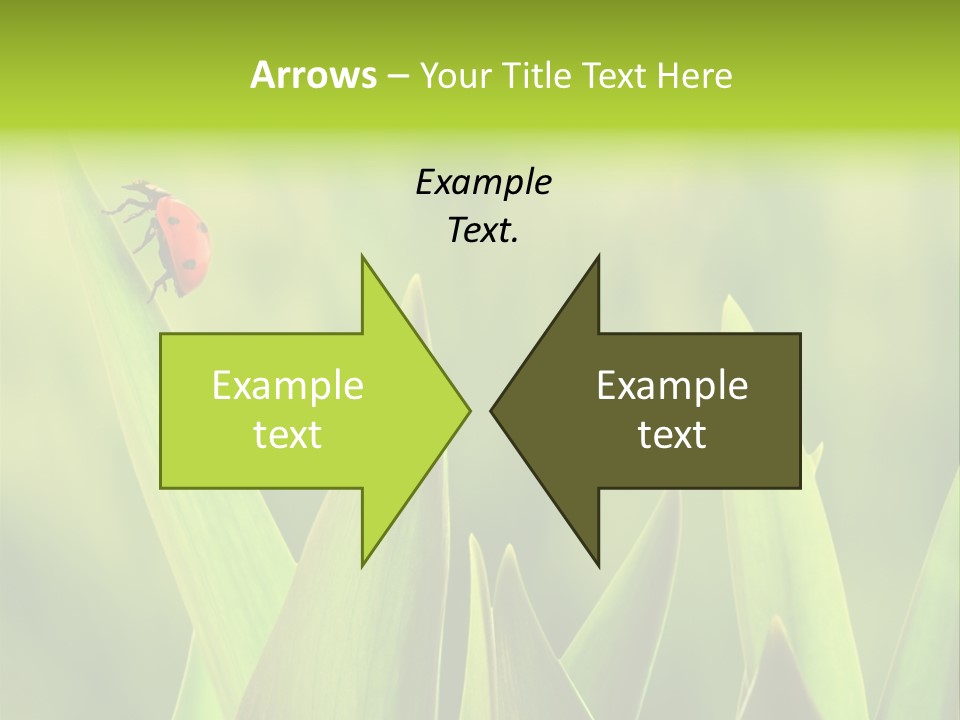 Garden Fresh Lawn PowerPoint Template