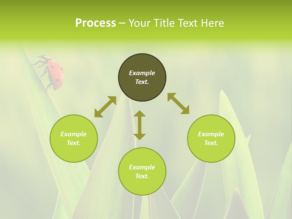 Garden Fresh Lawn PowerPoint Template