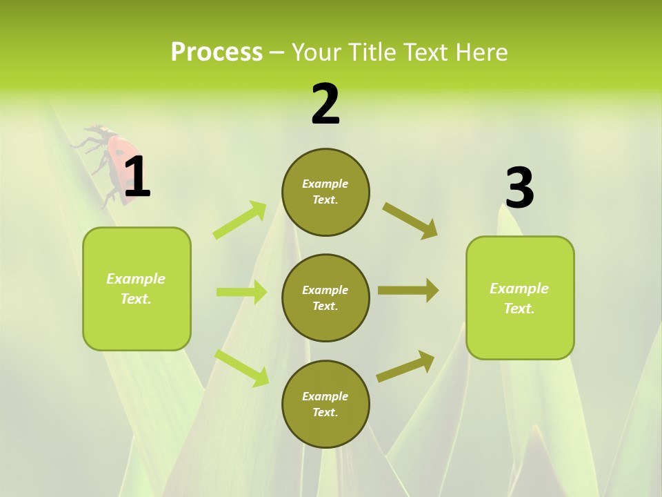 Garden Fresh Lawn PowerPoint Template
