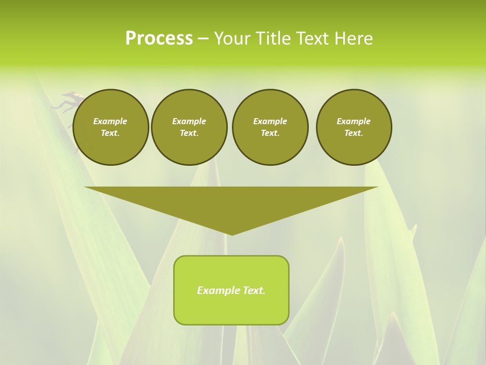 Garden Fresh Lawn PowerPoint Template