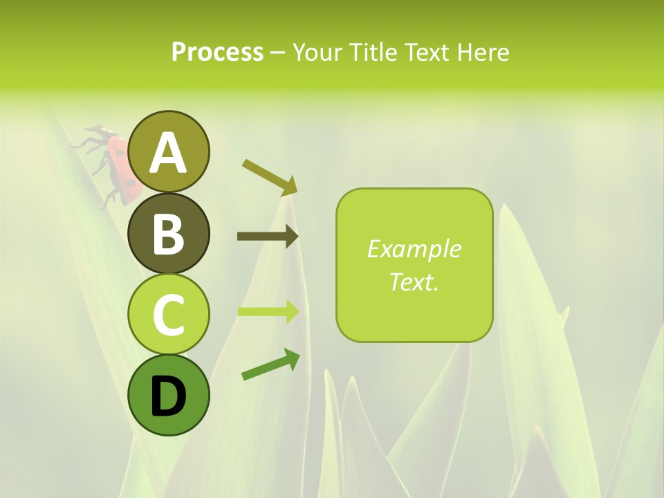 Garden Fresh Lawn PowerPoint Template