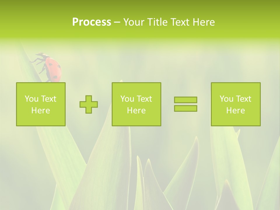 Garden Fresh Lawn PowerPoint Template