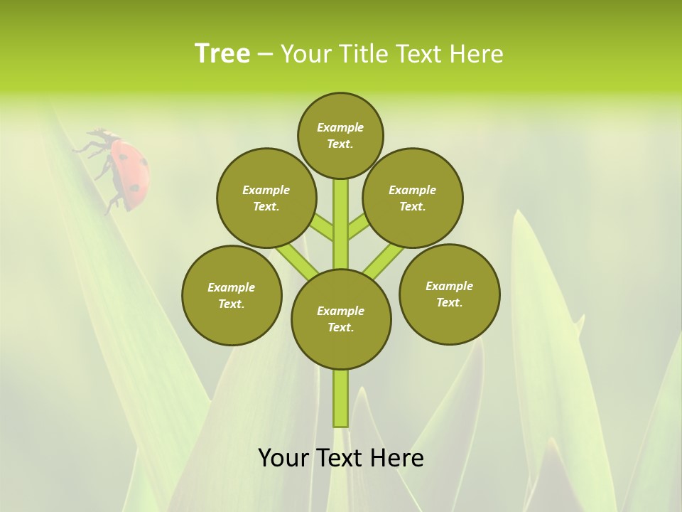 Garden Fresh Lawn PowerPoint Template