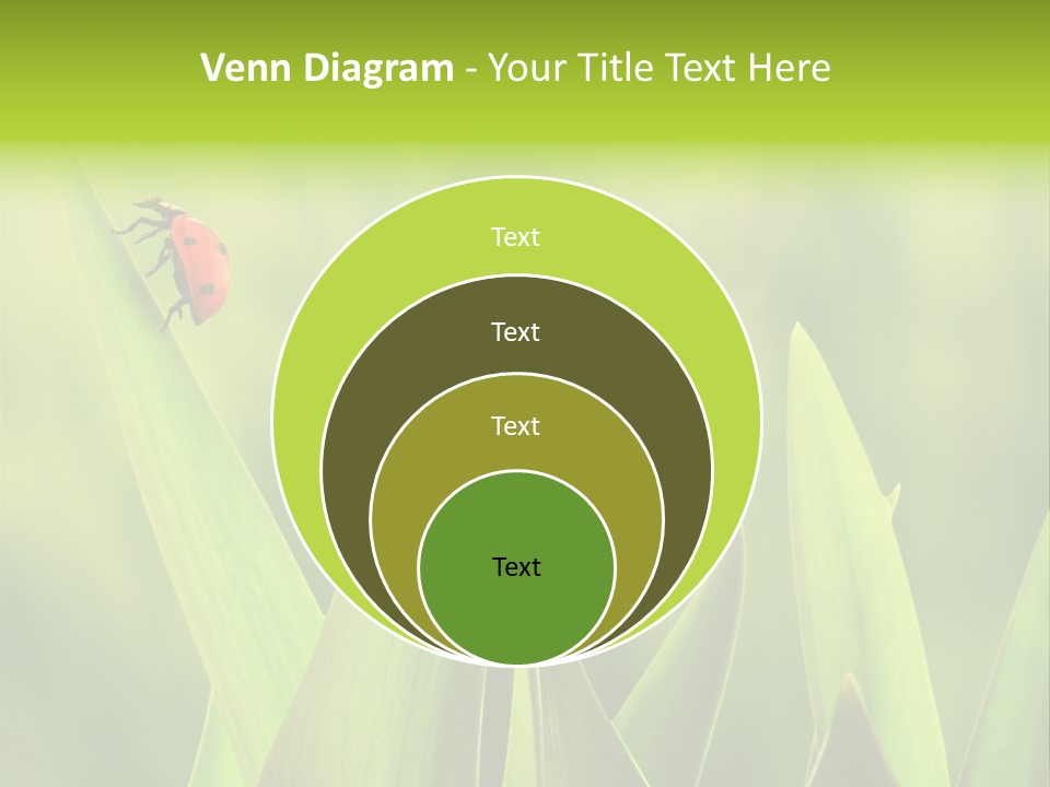 Garden Fresh Lawn PowerPoint Template