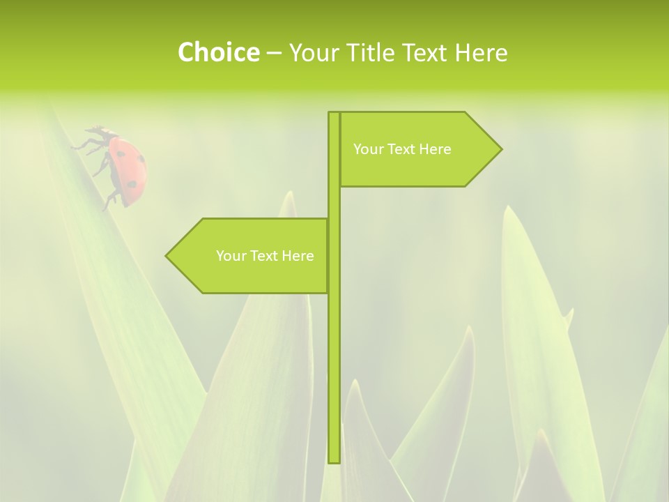 Garden Fresh Lawn PowerPoint Template