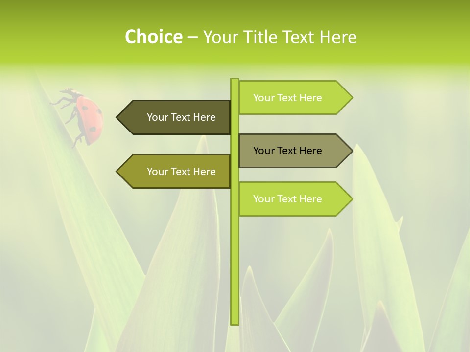 Garden Fresh Lawn PowerPoint Template