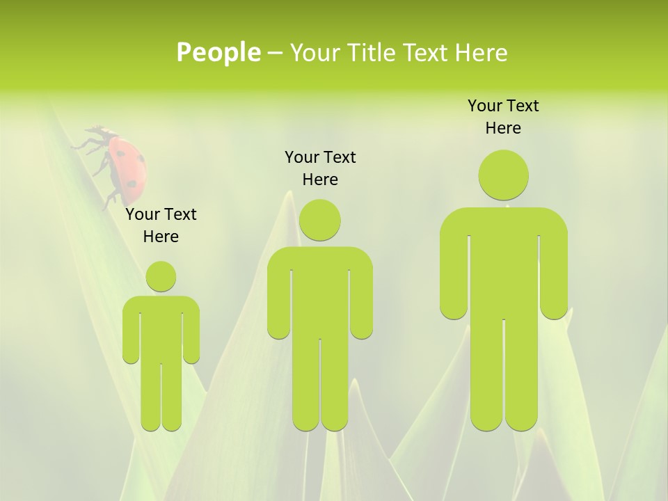 Garden Fresh Lawn PowerPoint Template