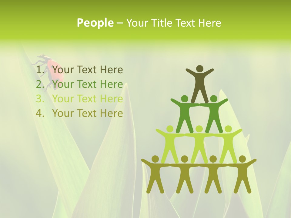 Garden Fresh Lawn PowerPoint Template