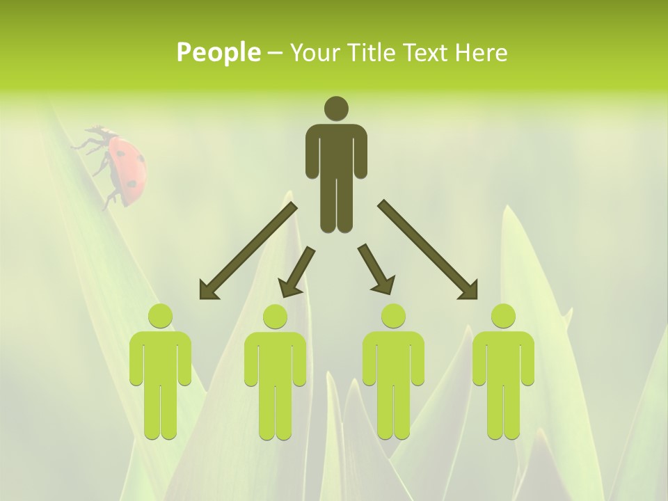 Garden Fresh Lawn PowerPoint Template