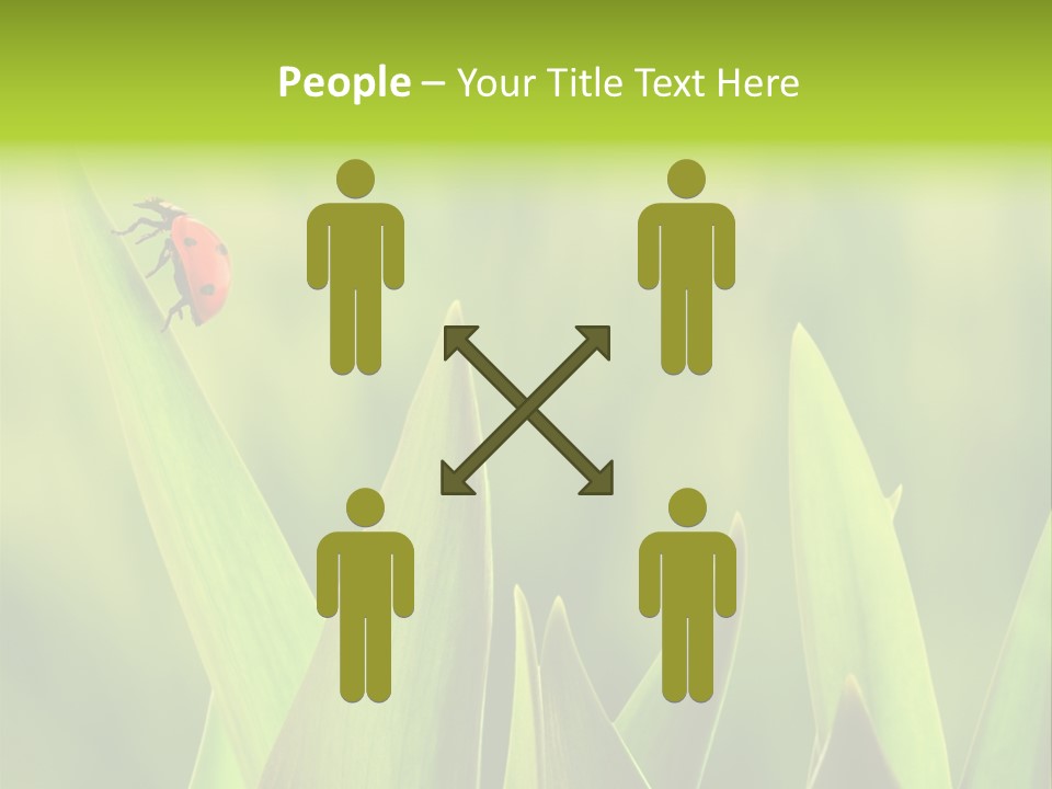 Garden Fresh Lawn PowerPoint Template