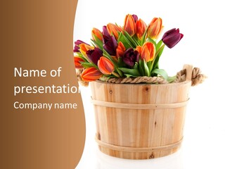 Orange Sauna Bucket PowerPoint Template