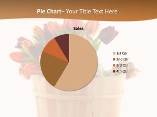 Orange Sauna Bucket PowerPoint Template